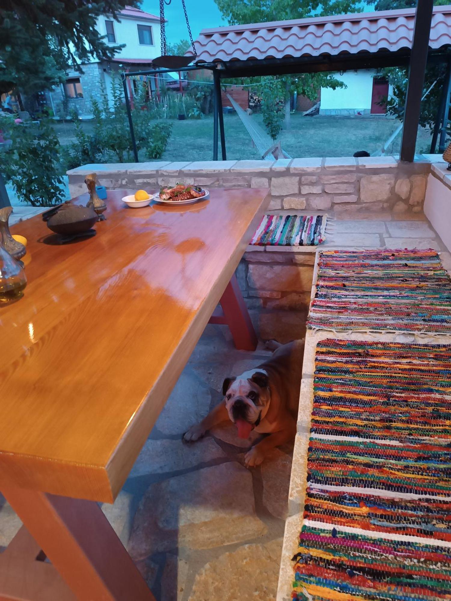 The Lady Of The Holiday home